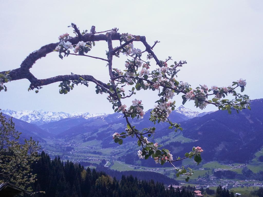 Hof Hamoos Apartman Kitzbühel Kültér fotó