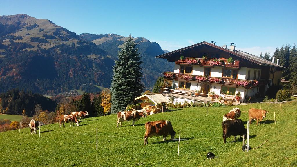 Hof Hamoos Apartman Kitzbühel Kültér fotó